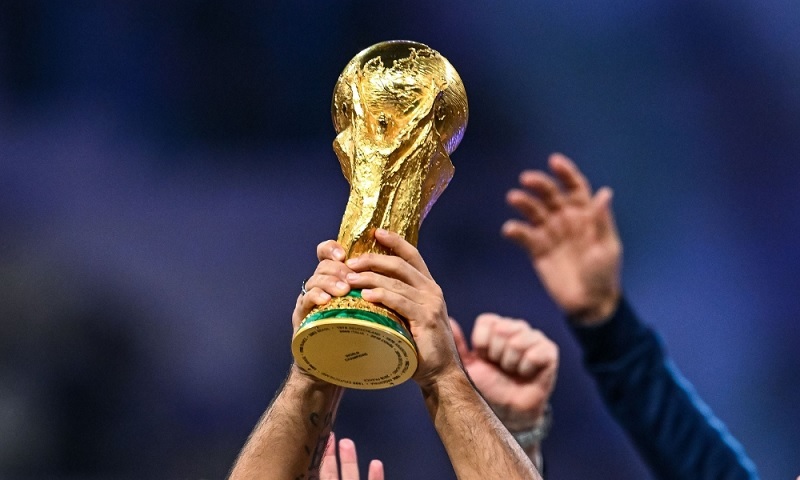 giai-vo-dich-bong-da-the-gioi-fifa-world-cup